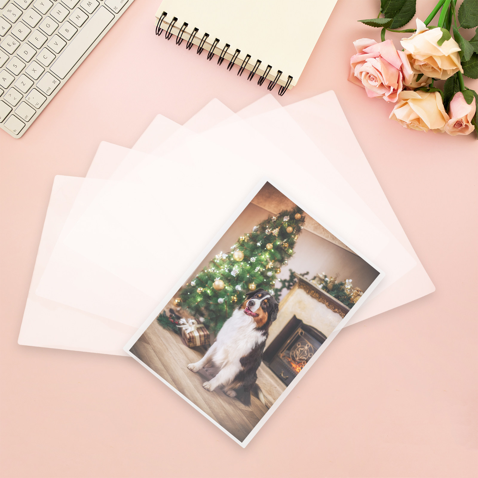 100 Buste Trasparenti per Lami - Document Laminator Pouch recensione e prezzo